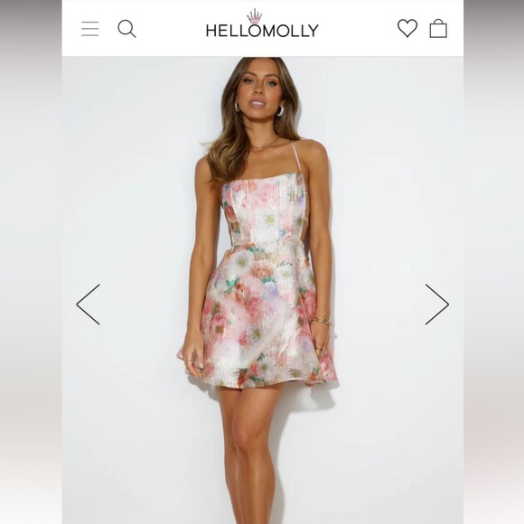 Hello Molly Pretty Painting Mini Dress BNWT - Picture 4 of 4